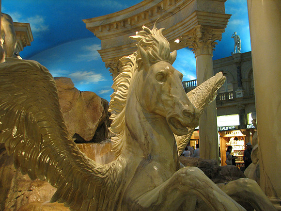 Forum Pegasus
