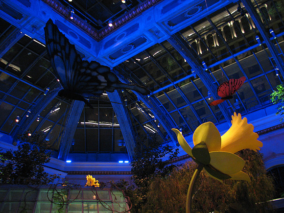 Butterfly Room