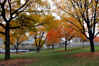 Pittsburgh in Fall