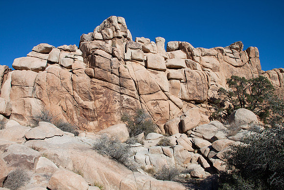 Joshua Tree National Park