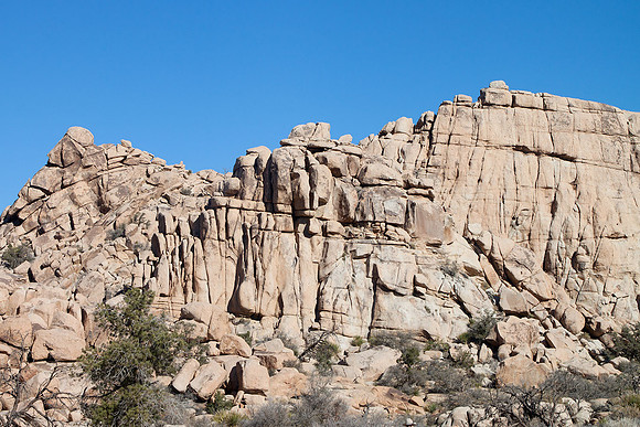 Joshua Tree National Park
