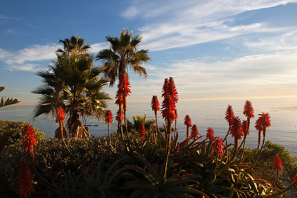 Laguna Beach