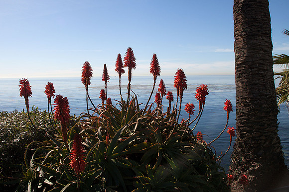 Laguna Beach