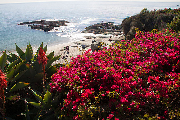 Laguna Beach