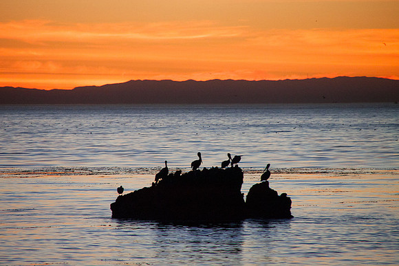Laguna Beach