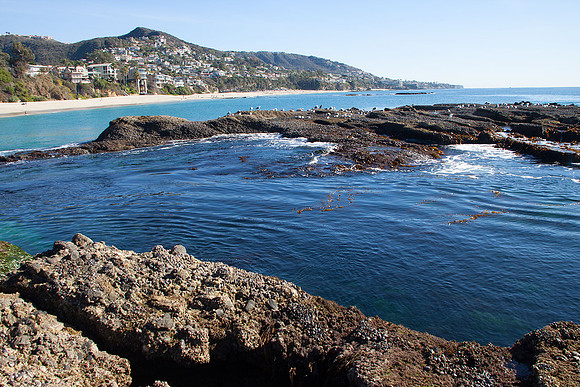 Laguna Beach