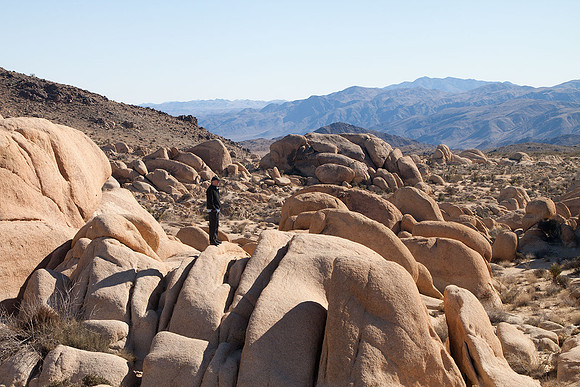 Joshua Tree National Park