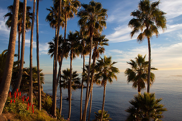 Laguna Beach
