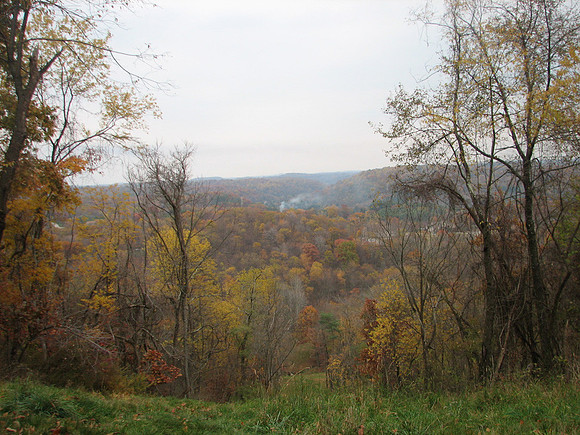 View from near the top