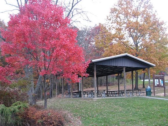 Beginning of walk