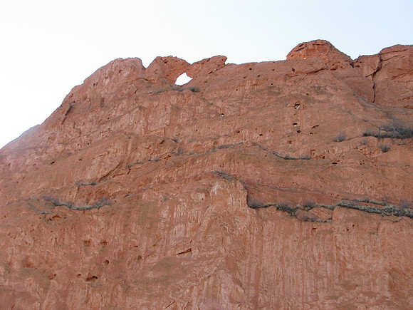 Kissing Camels