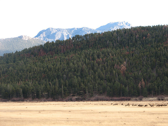 Mountains near elk