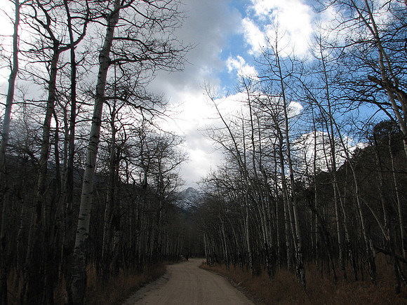 Road back to car