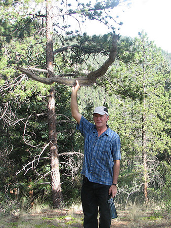 Dad with bow
