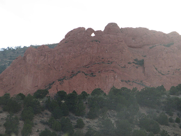 Kissing Camels