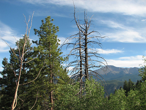 Colorado