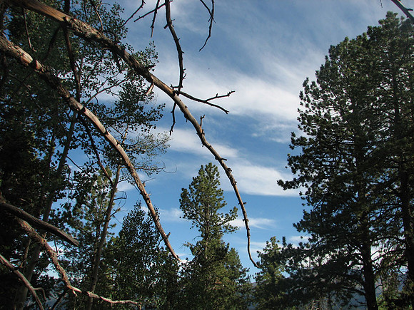 Hiking