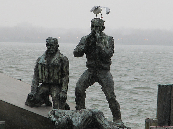 Bird on head