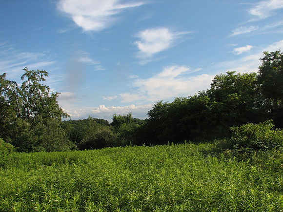 Moraine State Park