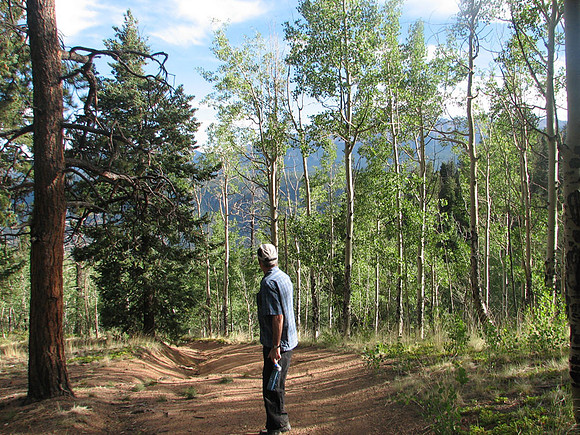 Dad hiking