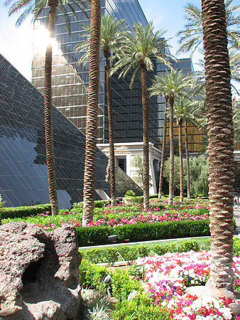 Gardens by Luxor