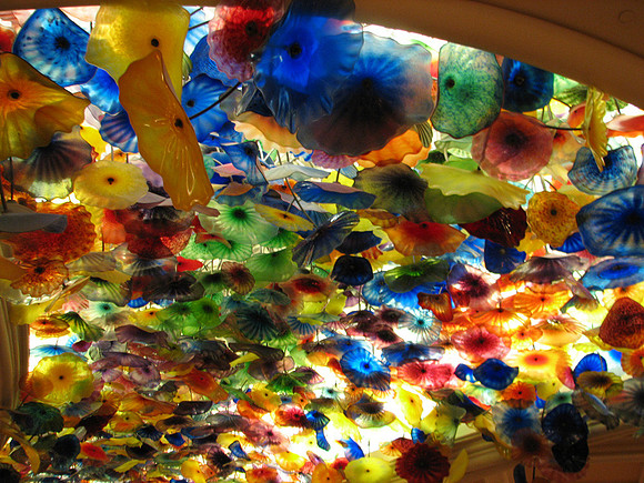 Glass ceiling flowers